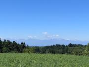 Top Montà