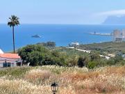 Top San Roque