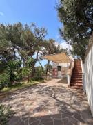 Top Torre Lapillo