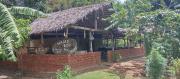 Naiad Eco okkampitiya