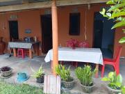 Top Tomohon