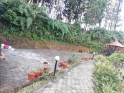 Syangbo Homestay