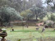 Top Hepburn Springs