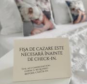 Top Timişoara