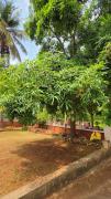 Top Mysore