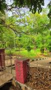 Top Mysore