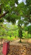 Top Mysore