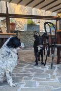 Top Pontremoli
