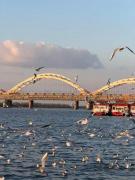Top Harbin