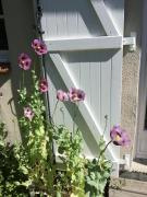 Top Le Breuil