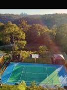 Top Forestville