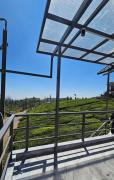 Top Ooty