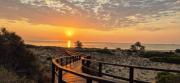 Top Arenales del Sol