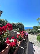Top Pisciotta