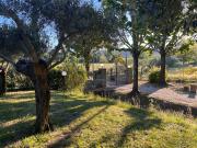 Top Tuoro sul Trasimeno