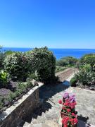 Top Pisciotta
