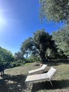 Top Pisciotta