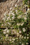 Top Castiglione dʼOrcia