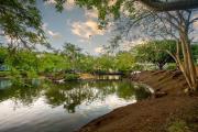 Top Tamarindo