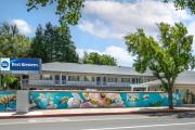 Top Modesto