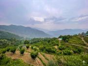 Top Nainital