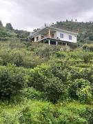 Top Nainital