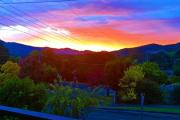 Top Myrtleford