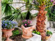 Top Corfu Town