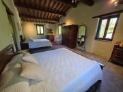 Top Montone