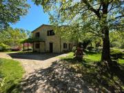 Top Montone