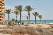 Top Arenales del Sol