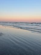 Top Galveston