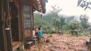 Top Bản Det