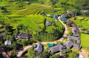 Top Bản Det