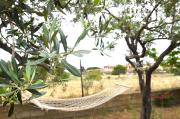 Top Sassari