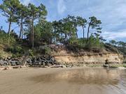 Les petites vagues - Meschers-sur-Gironde