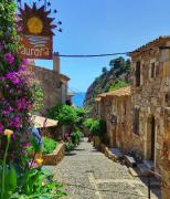 Top Tossa de Mar