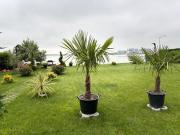 Top Mamaia Nord