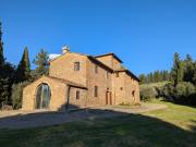 Top Romola