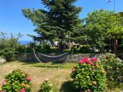 Top Mouresi