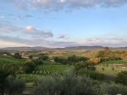 Top Acquaviva