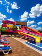 Top Dimitrovgrad