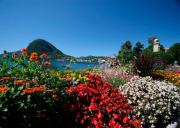 Top Lugano