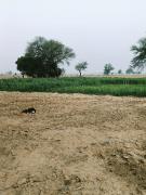 Joon Farm