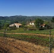 Podere Poggio Sorbi