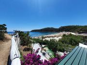 Top Fetovaia