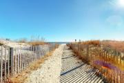 Top Ocean City Top Ocean City