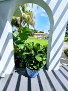 Top Delray Beach