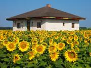 Casa din Pamant in Mijlocul Naturii