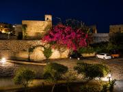 Top Favignana